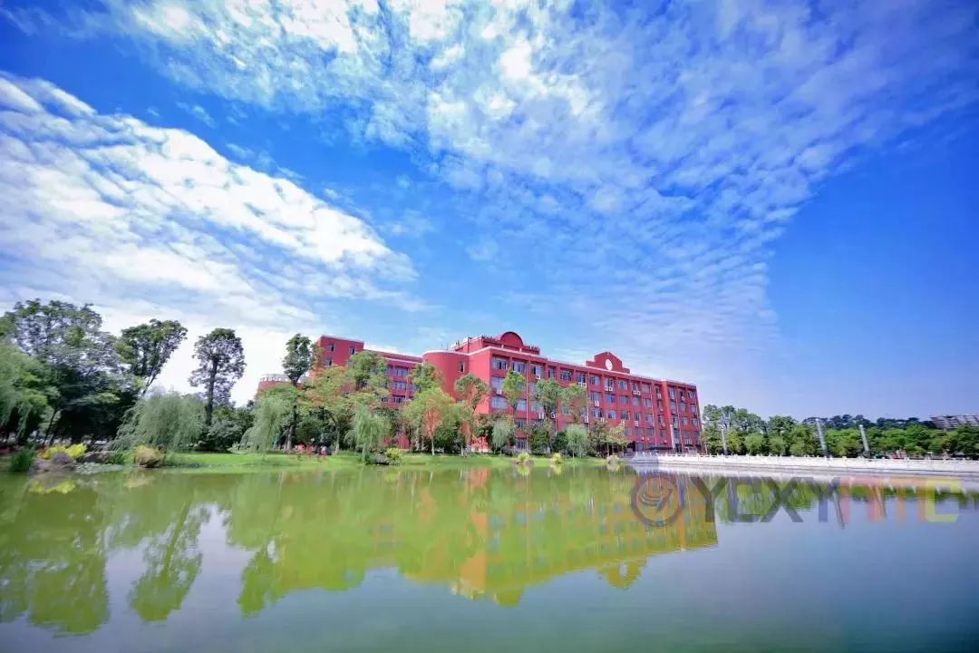 大学生篮球社团如何引入智能情感技术_0