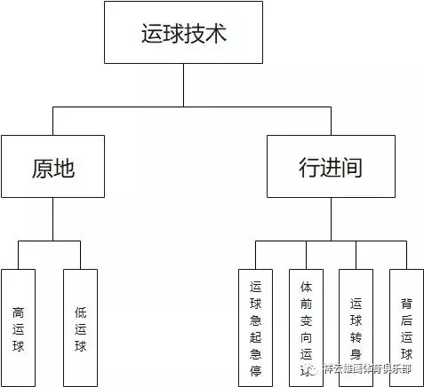 为什么大前锋在比赛中需要特别的体能训练?_1
